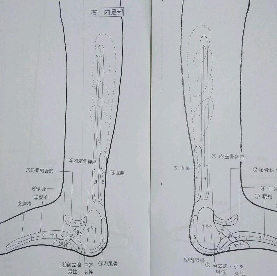 13 足つぼフィギュア18cm 躯体 つぼ 図面 メルカリ