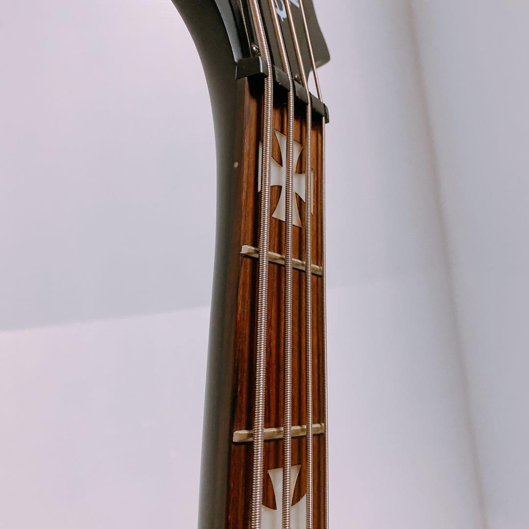 Epiphone Blackbird Nikki Sixx　エピフォン