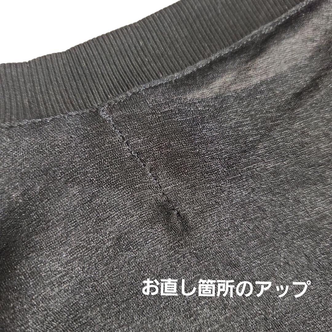 訳ありアメリボタニカルシアーロングTブラック フリー