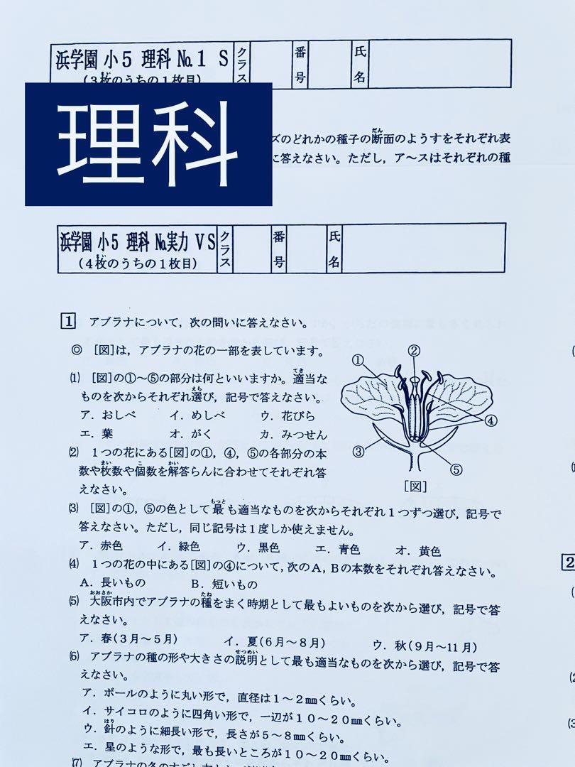 浜学園小５ Sクラス 復習テスト 4科目1年分 浜学園 小5 夏期講習 Sクラス 4教科 国語 算数 理科 社会 復習