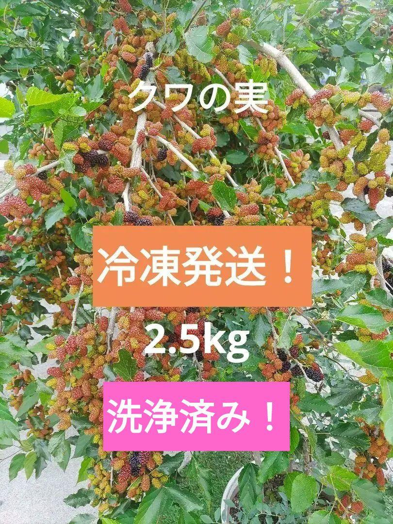 桑の実