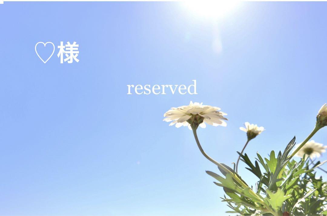 美品✨エブリデイアイライク　オーバーサイズシャツ　ワイヤー襟　ピンクベージュ
