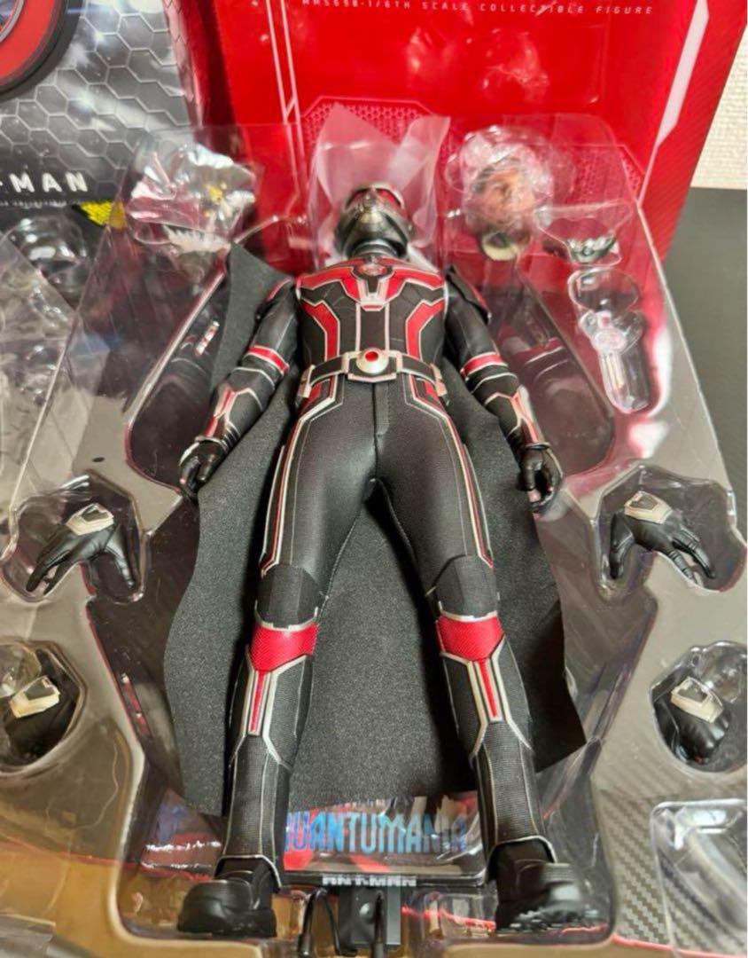 Hottoys ホットトイズ アントマン 【アントマン&ワスプ:クアント