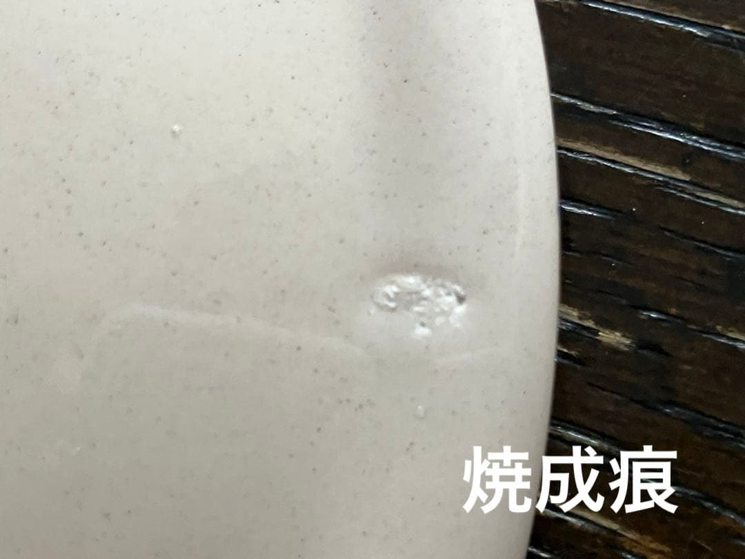 Flowers 皿5枚組15.5㎝新品、♥