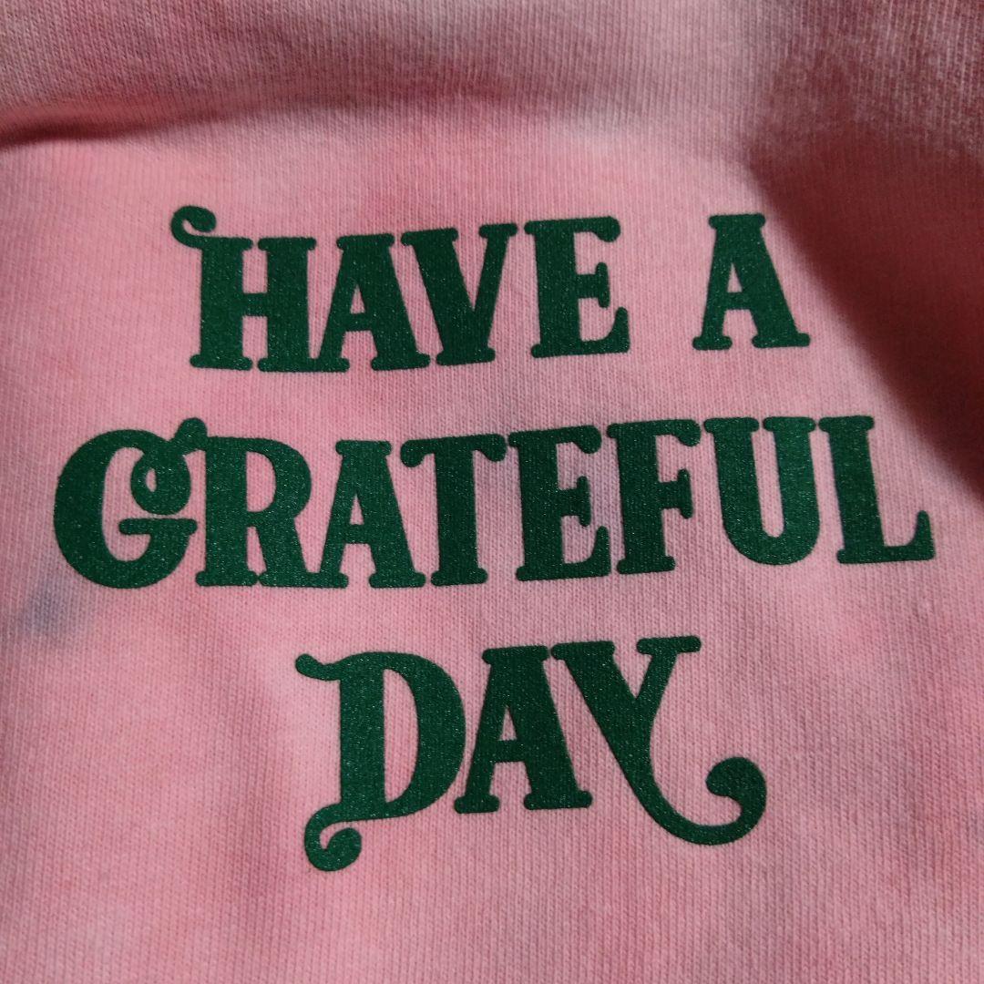 ロンT　 　HAVE A GREATFUL DAY