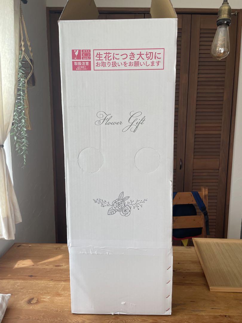 白い大輪の胡蝶蘭3本立て