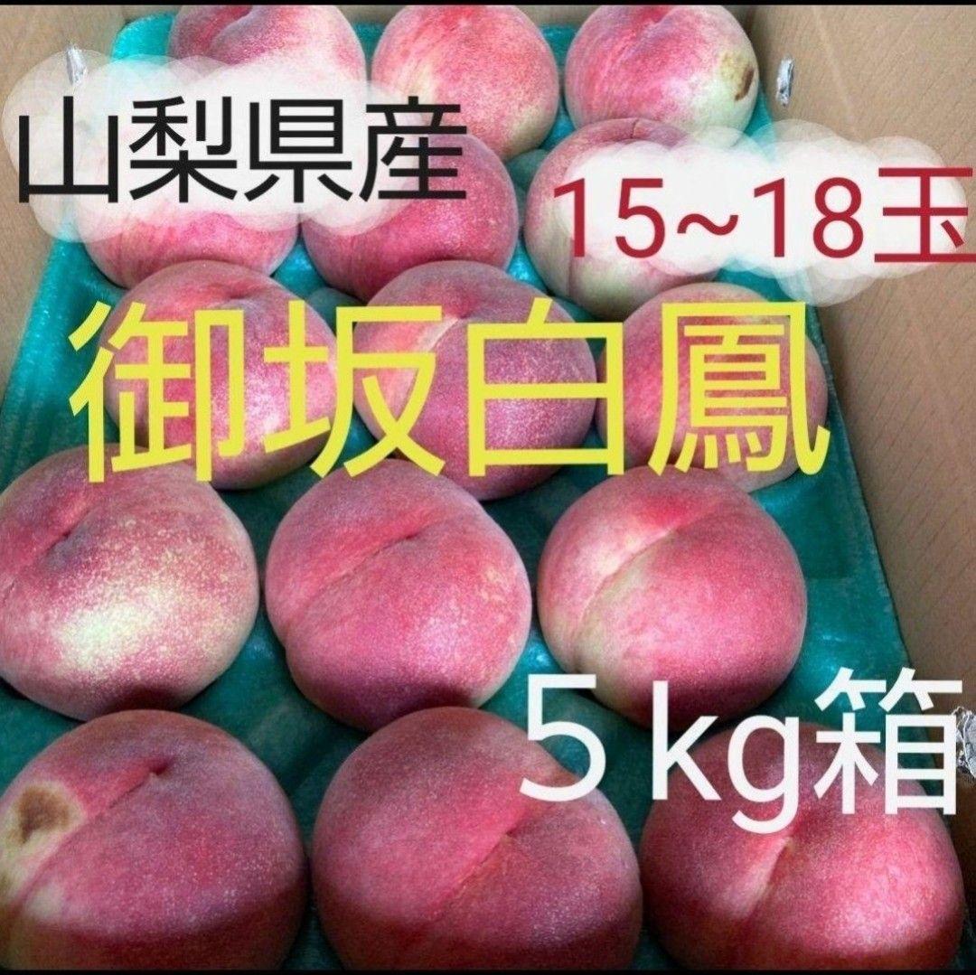 桃 御坂白鳳 5kg箱 訳あり 朝収穫