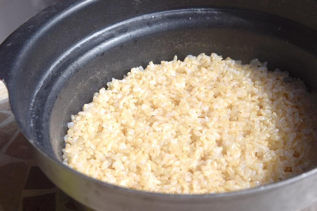 玄米　農薬不使用コシヒカリ１０キロ⭐️農家直送