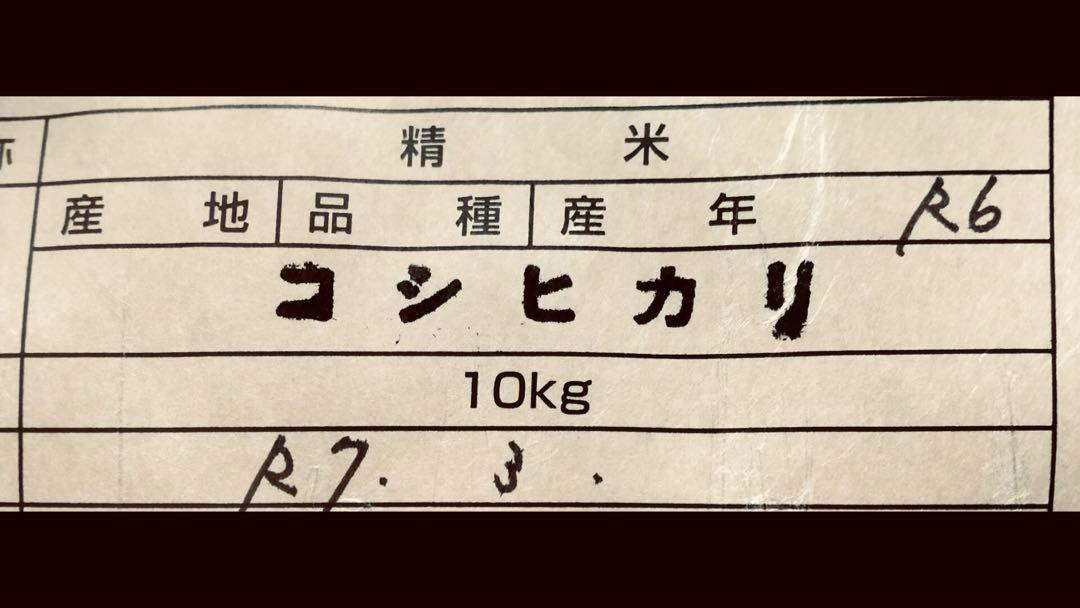 玄米　農薬不使用コシヒカリ１０キロ⭐️農家直送
