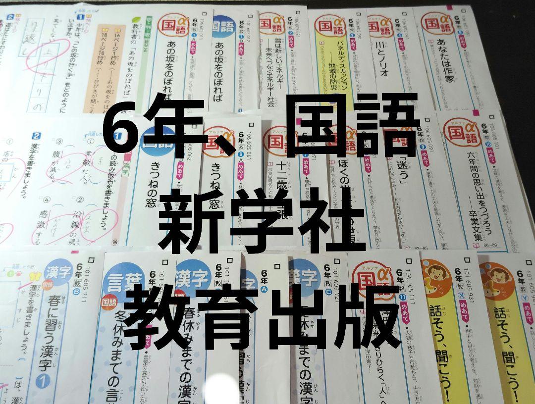 【最新】カラーテスト　漢字テスト国語　小6　新学社　令和6年度　2024年度