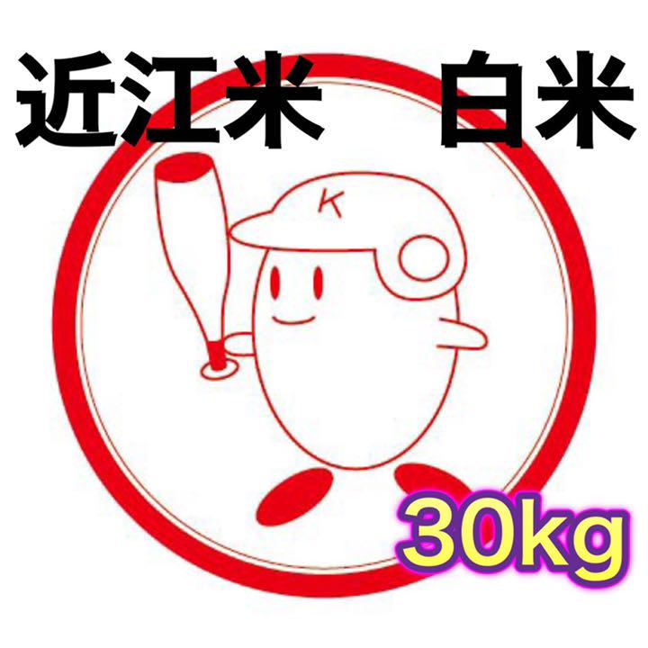 送料無料】近江のお米 30kg（10kg×3本）