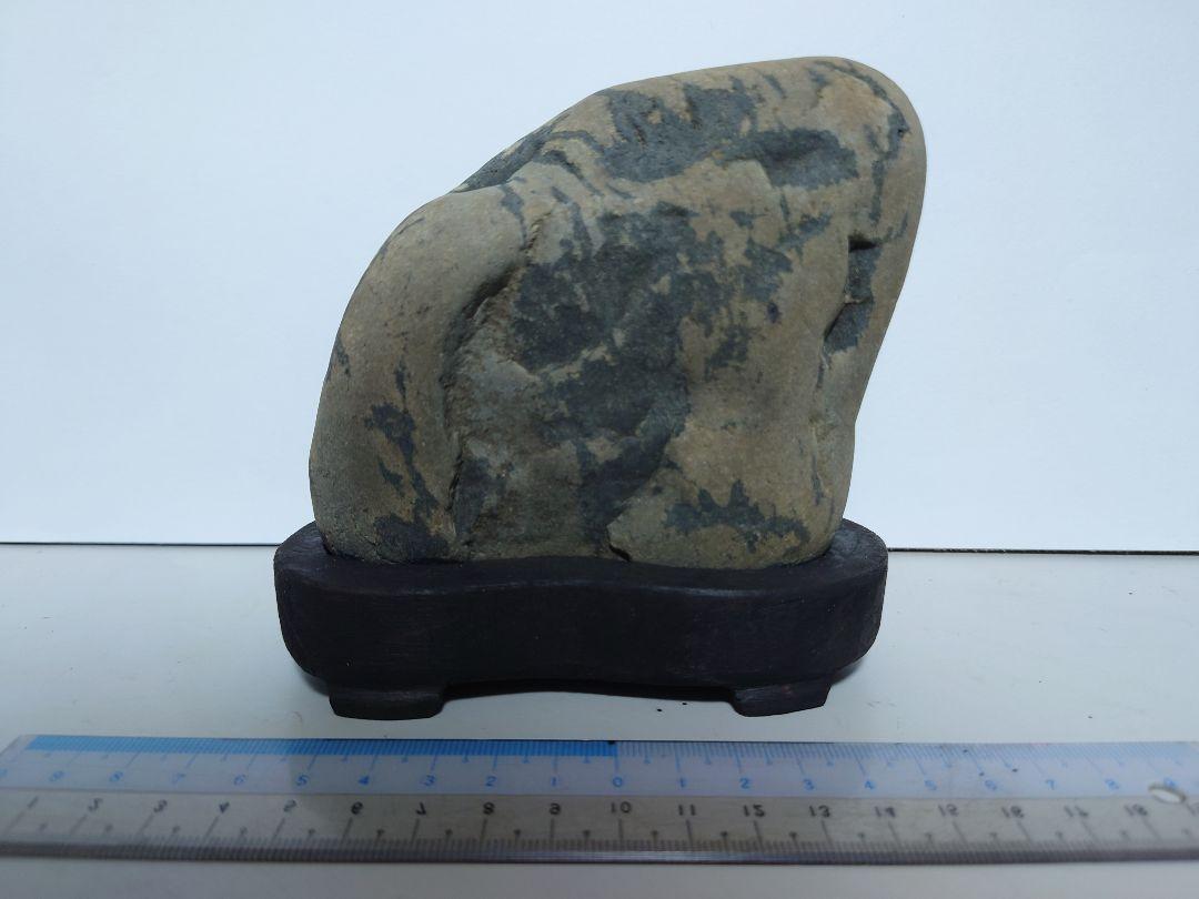 四万十川石　神火石　水石 鑑賞石