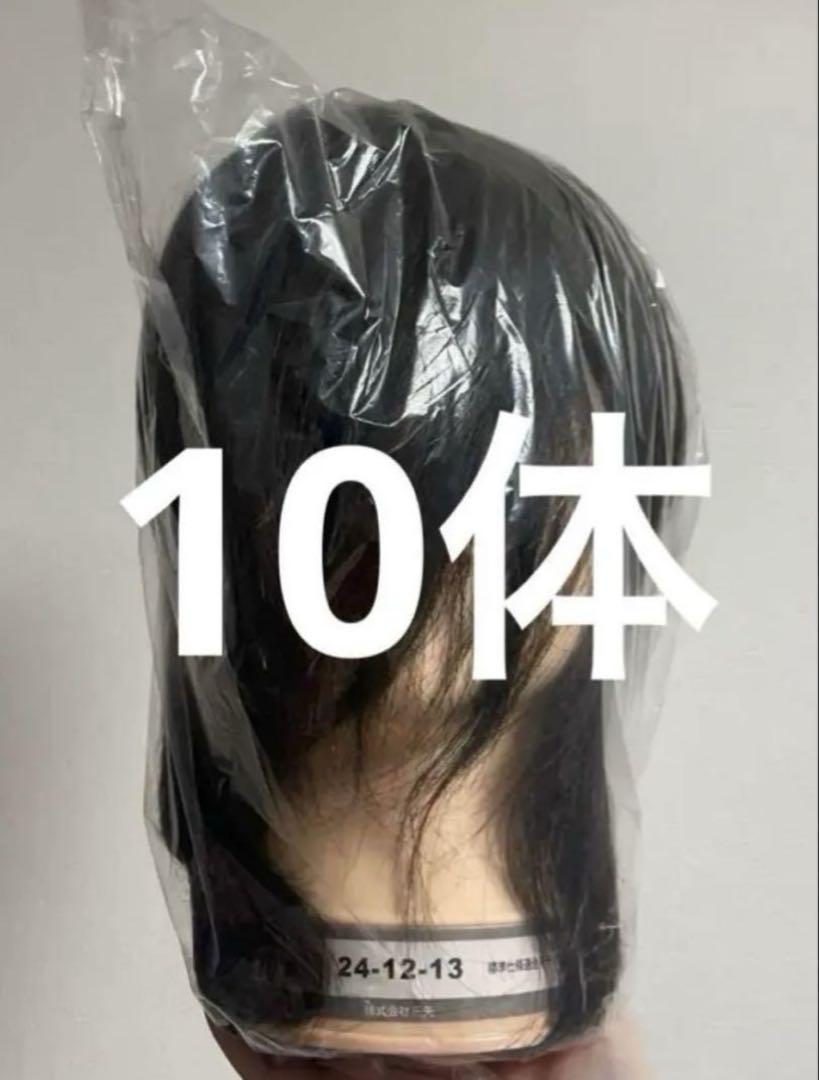 東京チャーム カットウィッグ 10体セット 美容師 国家試験用 新品未使用