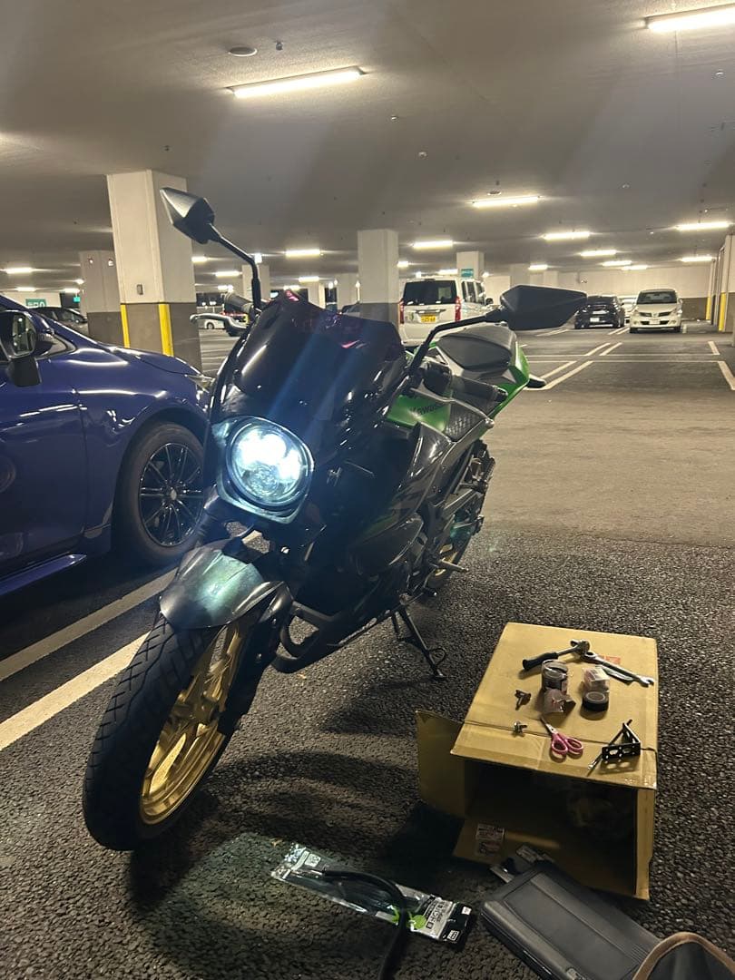 【キリにゃん様専用】Kawasaki Z250 ABSスペシャルエディション