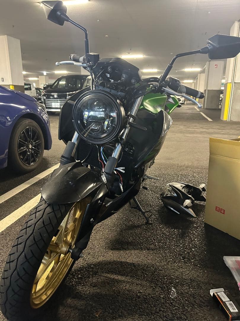 【キリにゃん様専用】Kawasaki Z250 ABSスペシャルエディション