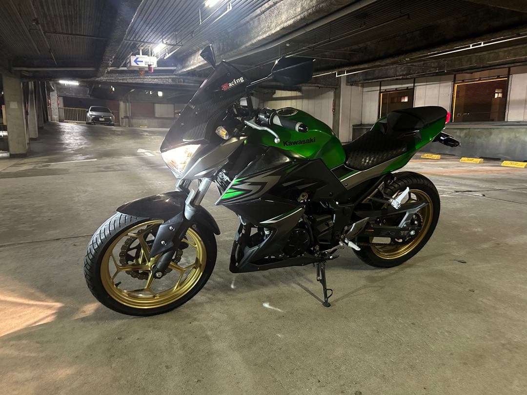 【キリにゃん様専用】Kawasaki Z250 ABSスペシャルエディション