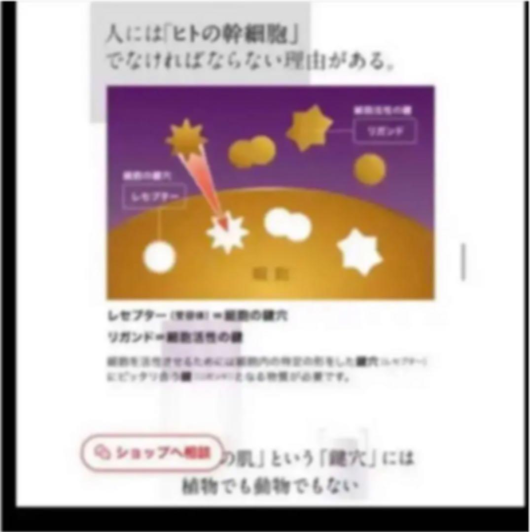 ・ギリギリセーフな洋ロリ 