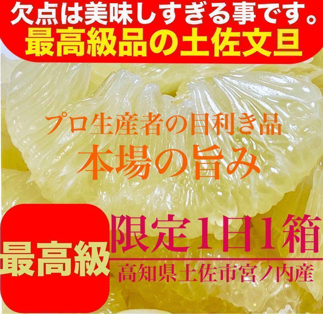「極選 土佐の宝石文旦」 10kg大玉