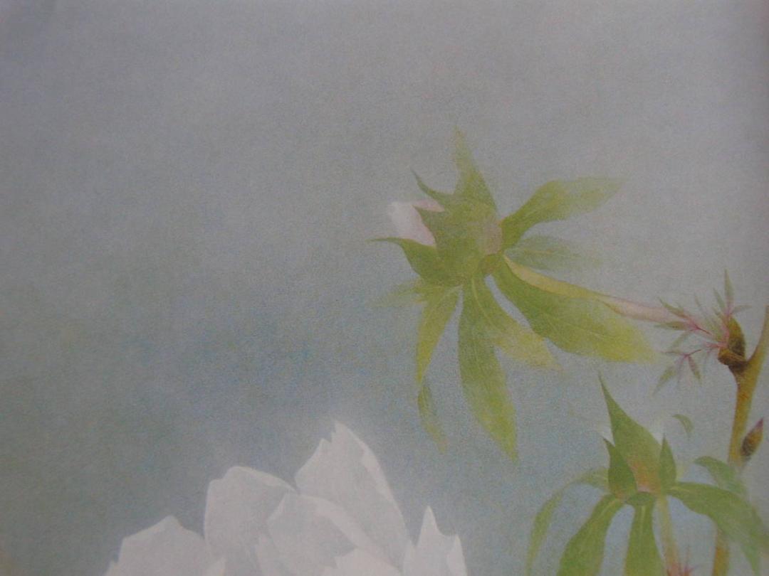 下島洋貫、「寒牡丹」、希少な画集の額装画、オーダーマット付
