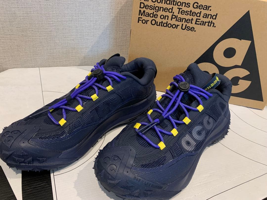 NIKE ナイキ　ACG マウンテンフライ2 LOW GTX GORE-TEX