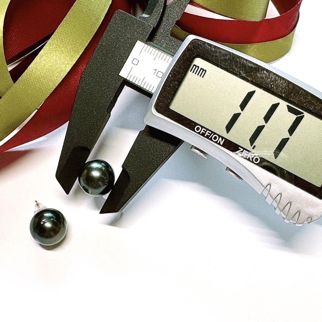 未使用　本真珠　黒蝶真珠　パール　大粒11.7mm　WGK14　ピアス