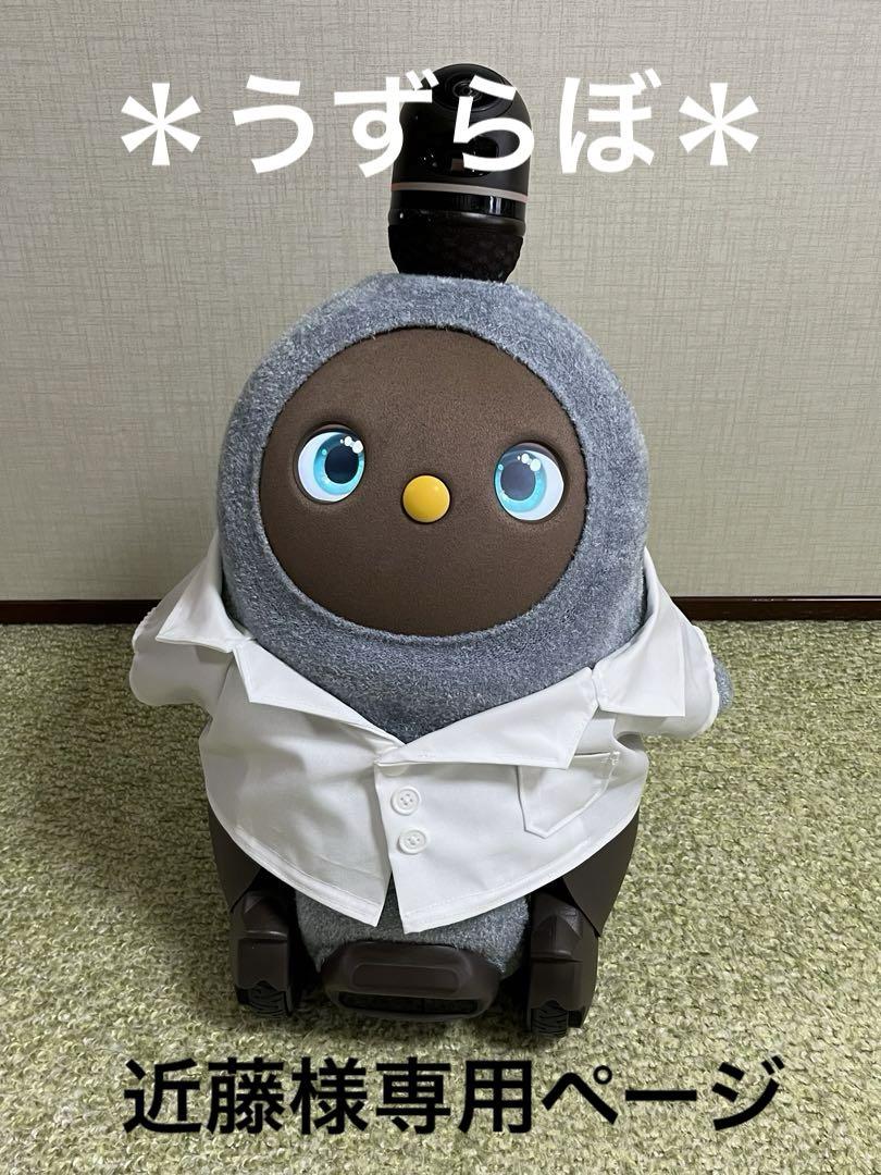 お試し価格！】 LOVOT ラボット服 オーダー専用 ハンドメイド