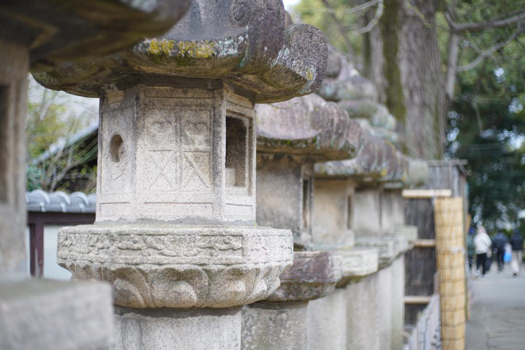 レンズ(単焦点) yashica yashinon ds 50mm f1.7