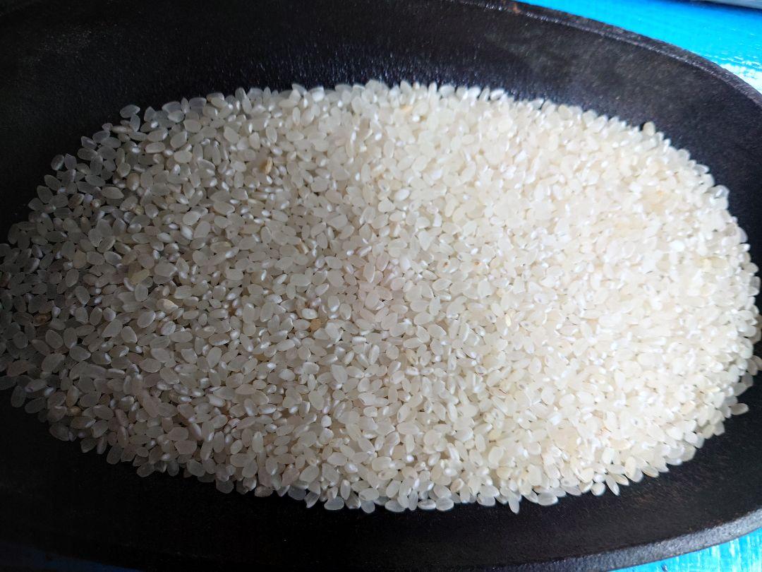 令和６年　栃木県産コシヒカリ精米10kg