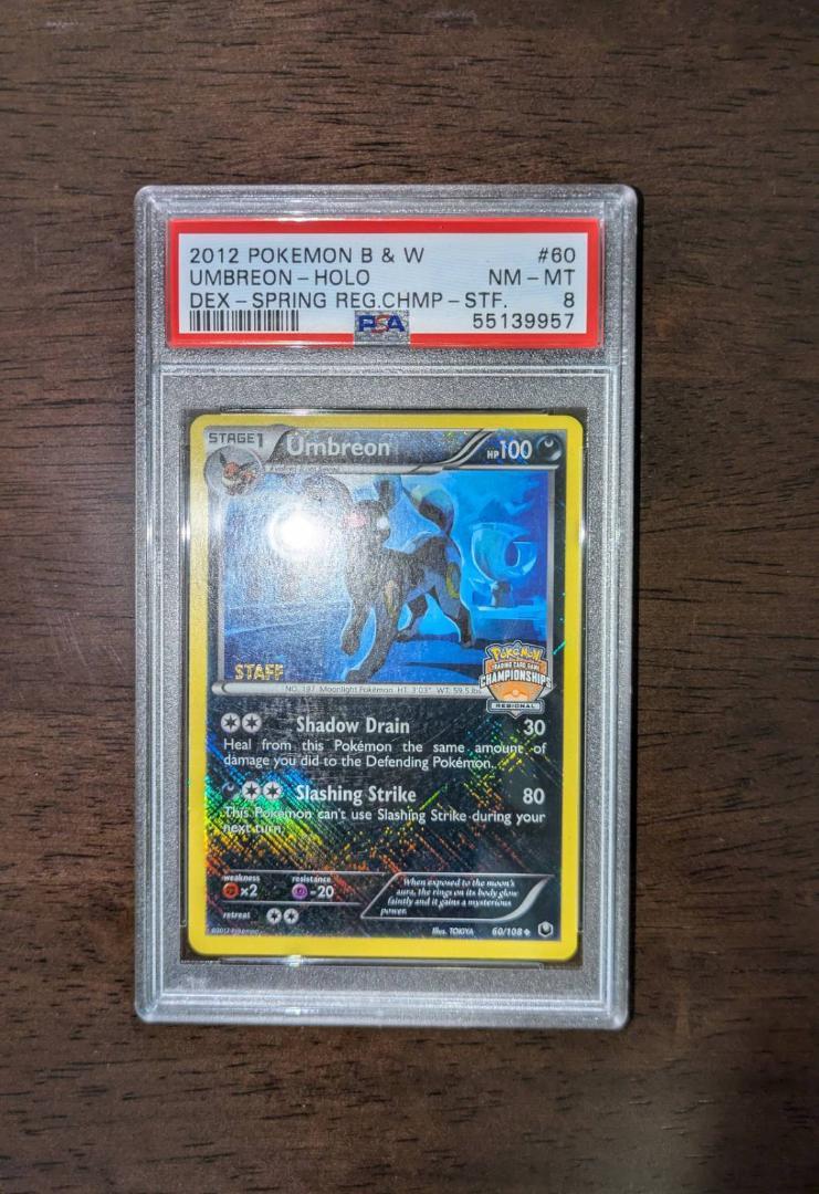英版ブラッキー チャンピオンシップ STAFFプロモ - PSA NM-MT8