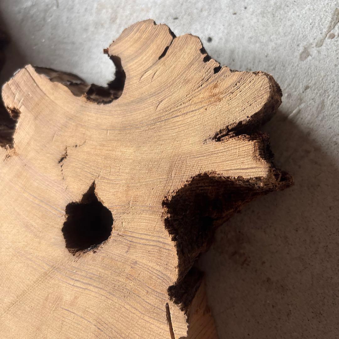 屋久杉 端材 屋久杉 端材
