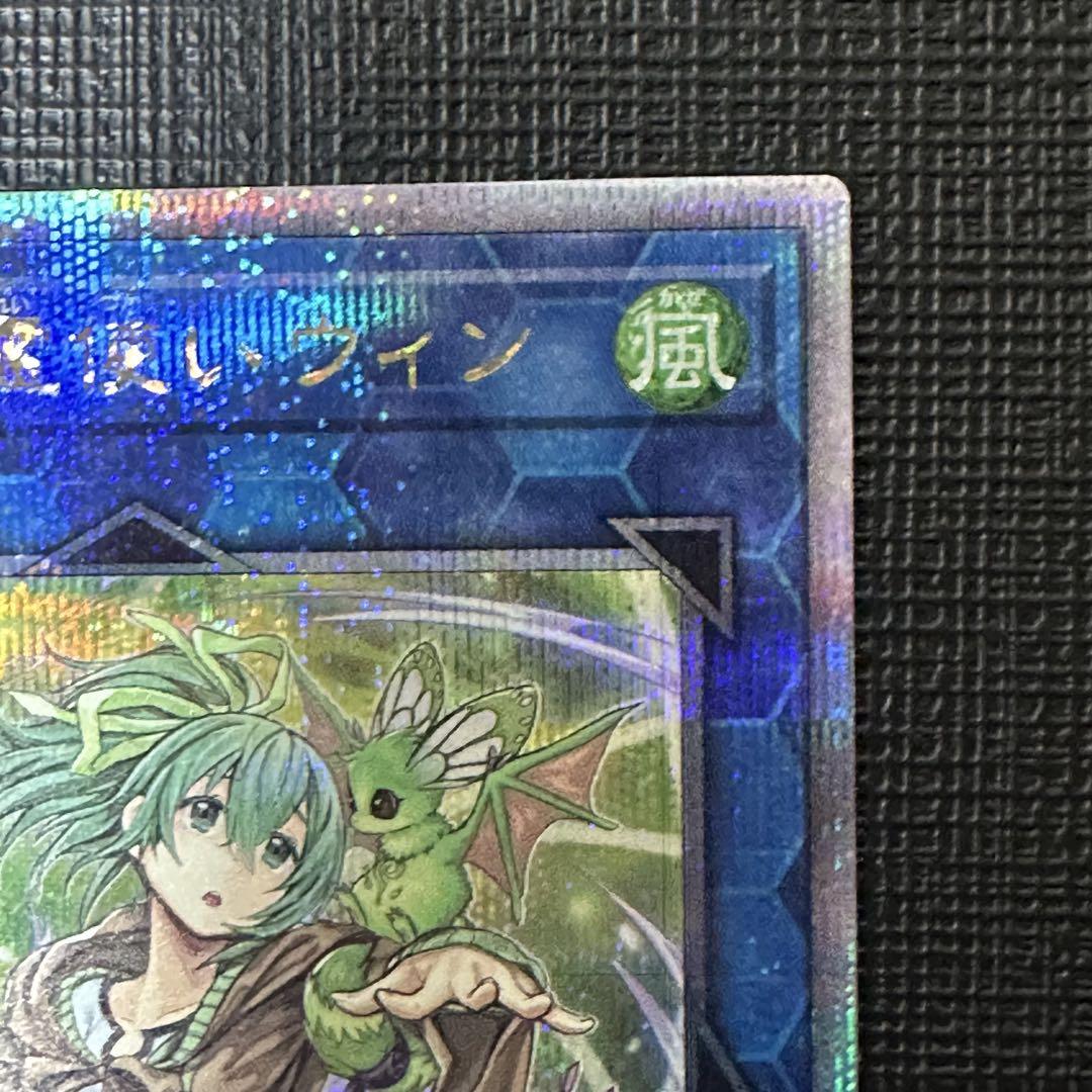遊戯王 霊使い 25th クオシク 6枚セット 精霊獣使いレラ 25th シークレット（クオシク）TW01-JP122