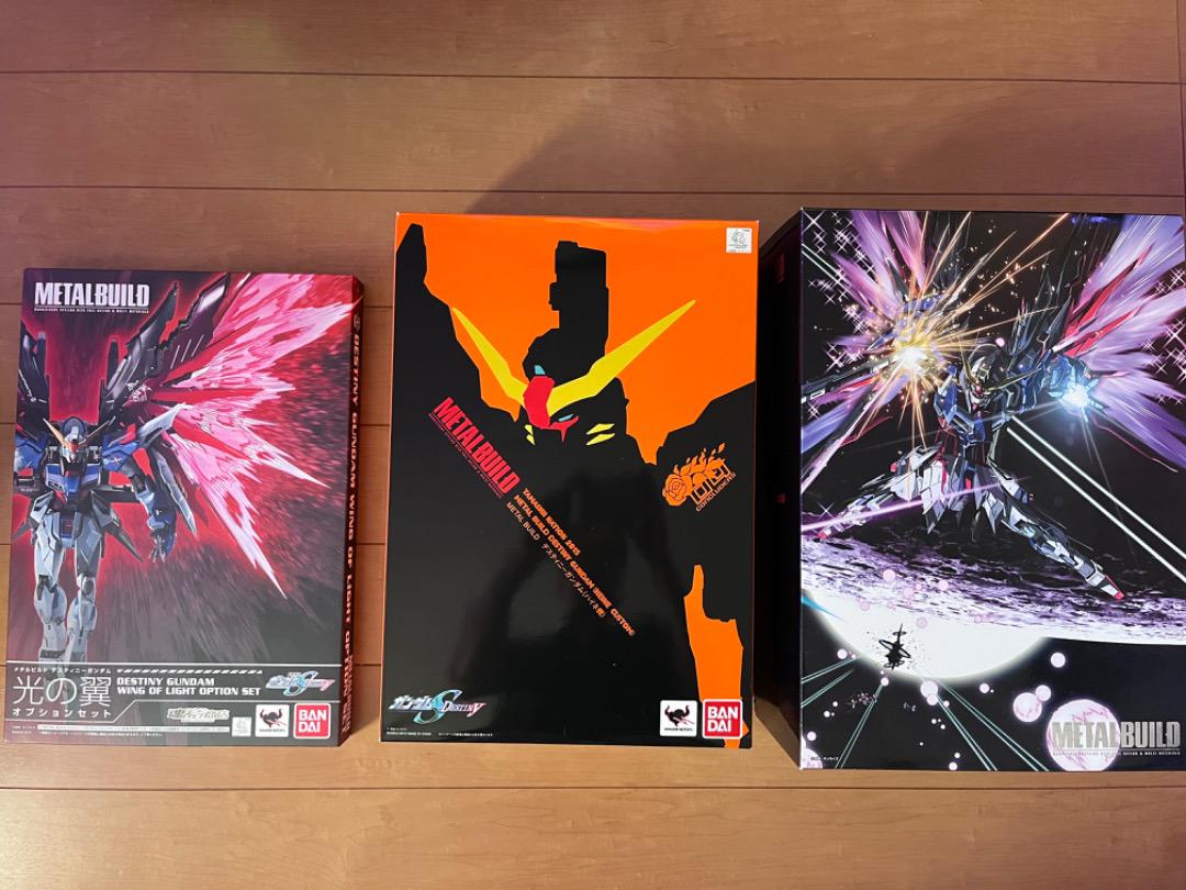 METAL BUILD メタルビルド デスティニーガンダムハイネ機 光の翼