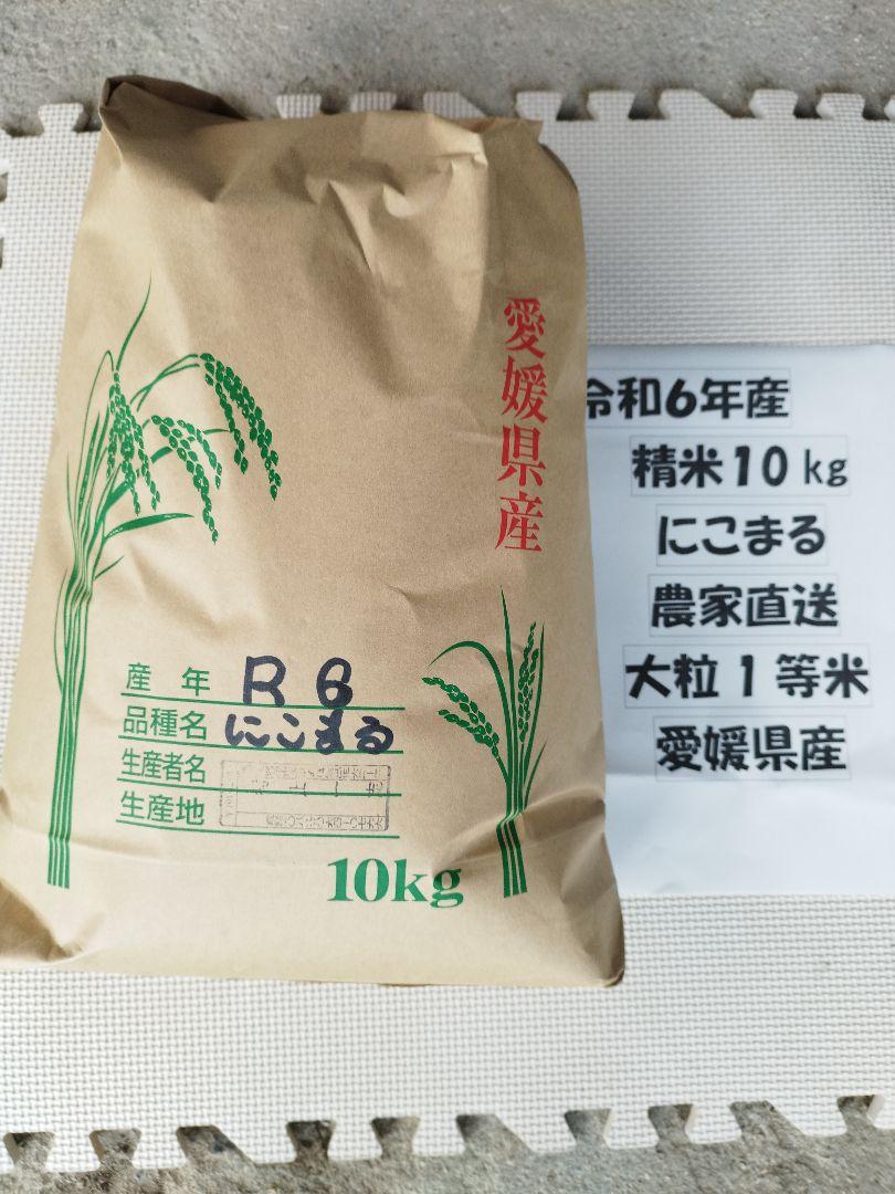 新米、精米大粒、10キロ、にこまる