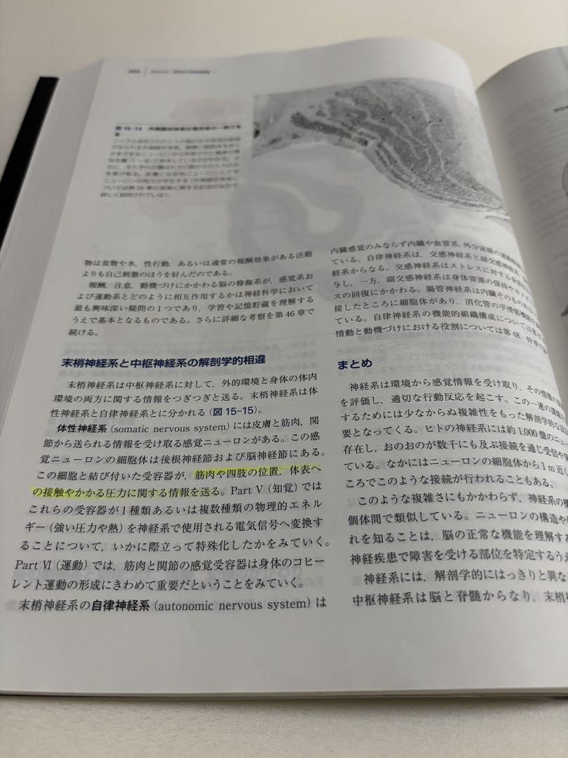 カンデル神経科学