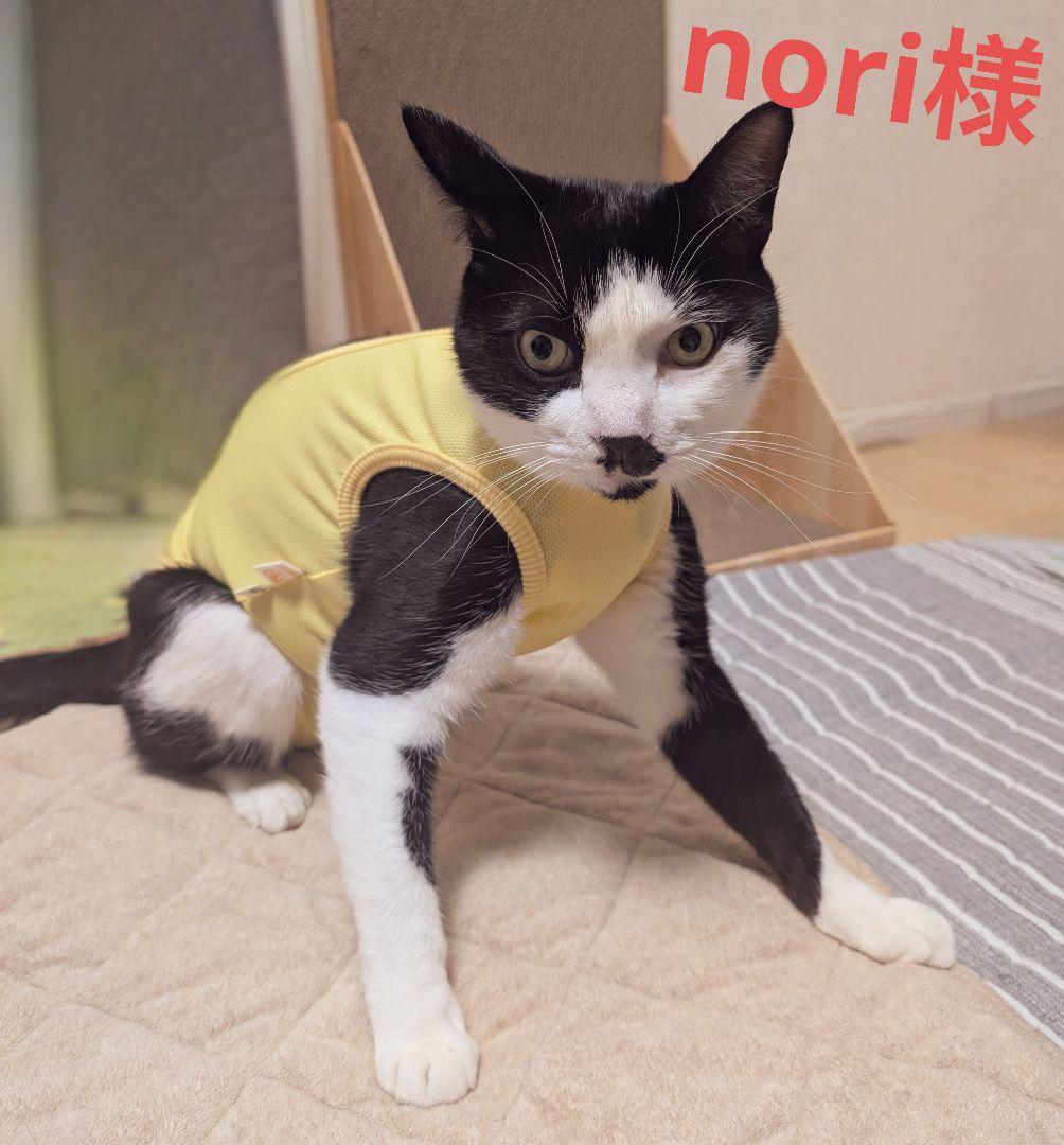 noriです！