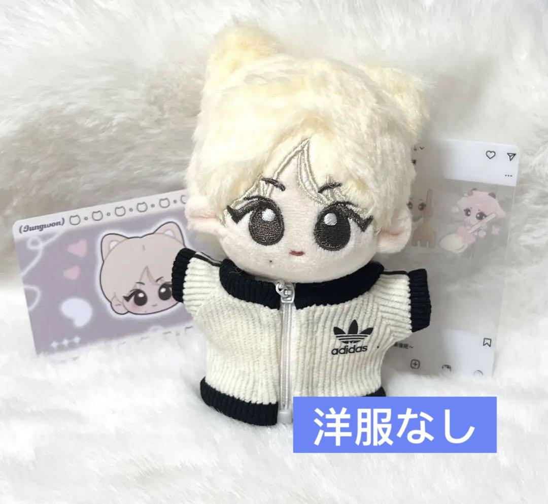 enhypen ジョンウォン ぬいぐるみ 10cm マスター 洋服付き11