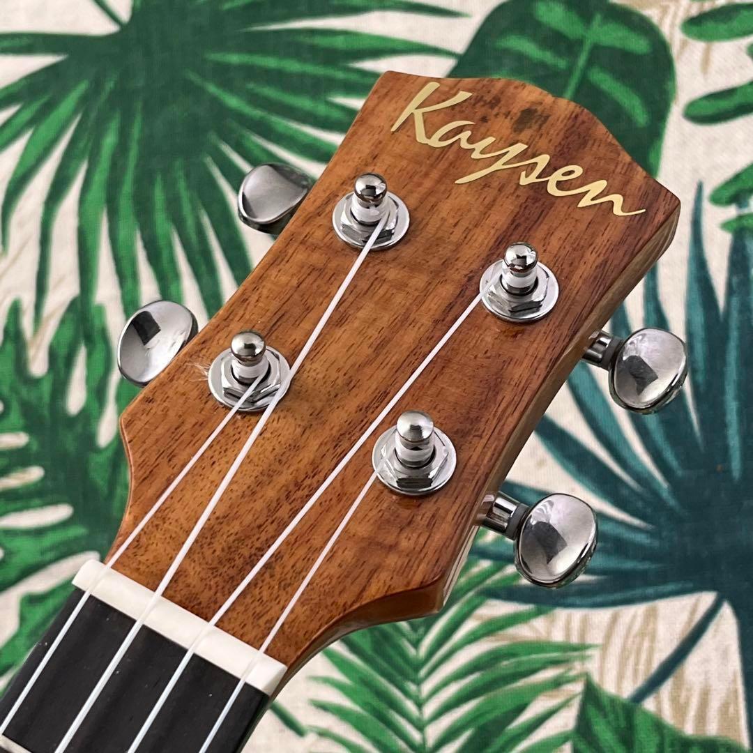 Kaysen ukulele】コア単板のエレキテナーウクレレ【ウクレレ専門店】