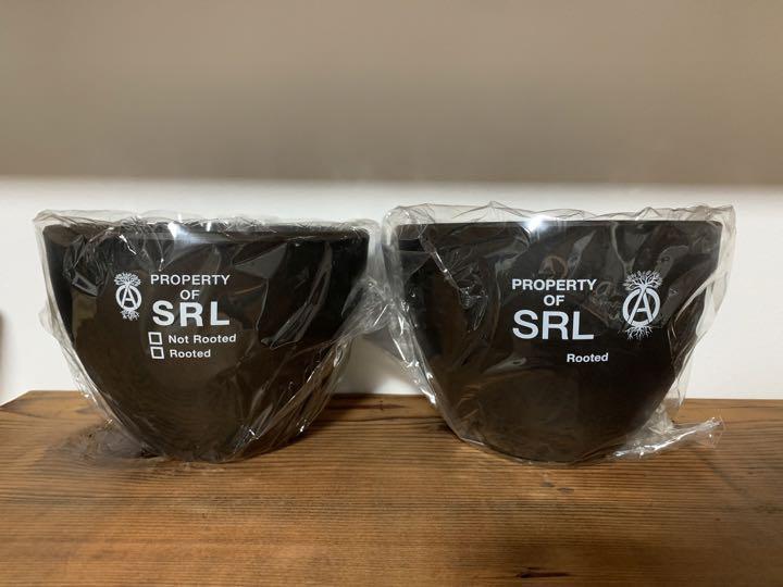 超激安 SRL ROUNDTYPE PLANT POT-M 2個セット その他 - horizonheating.ca