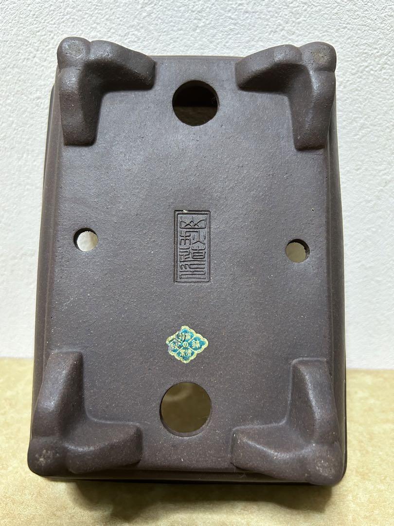 山秋盆栽鉢　小品盆栽　山野草