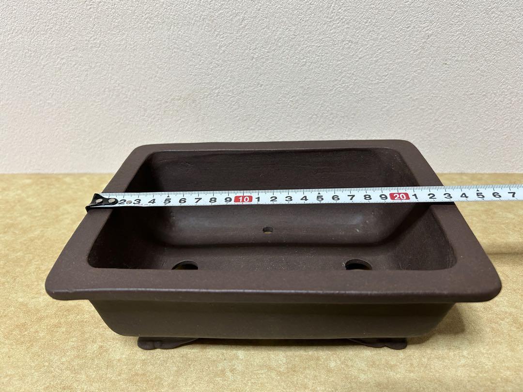 山秋盆栽鉢　小品盆栽　山野草