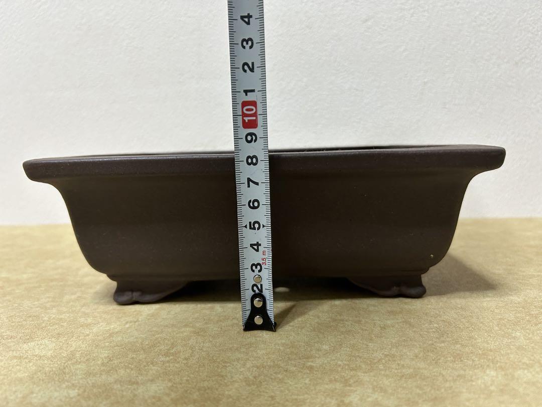 山秋盆栽鉢　小品盆栽　山野草
