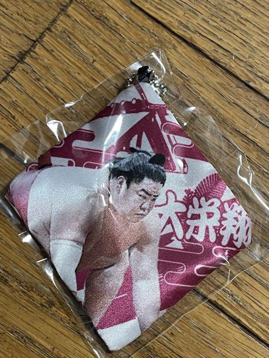 大相撲 大栄翔