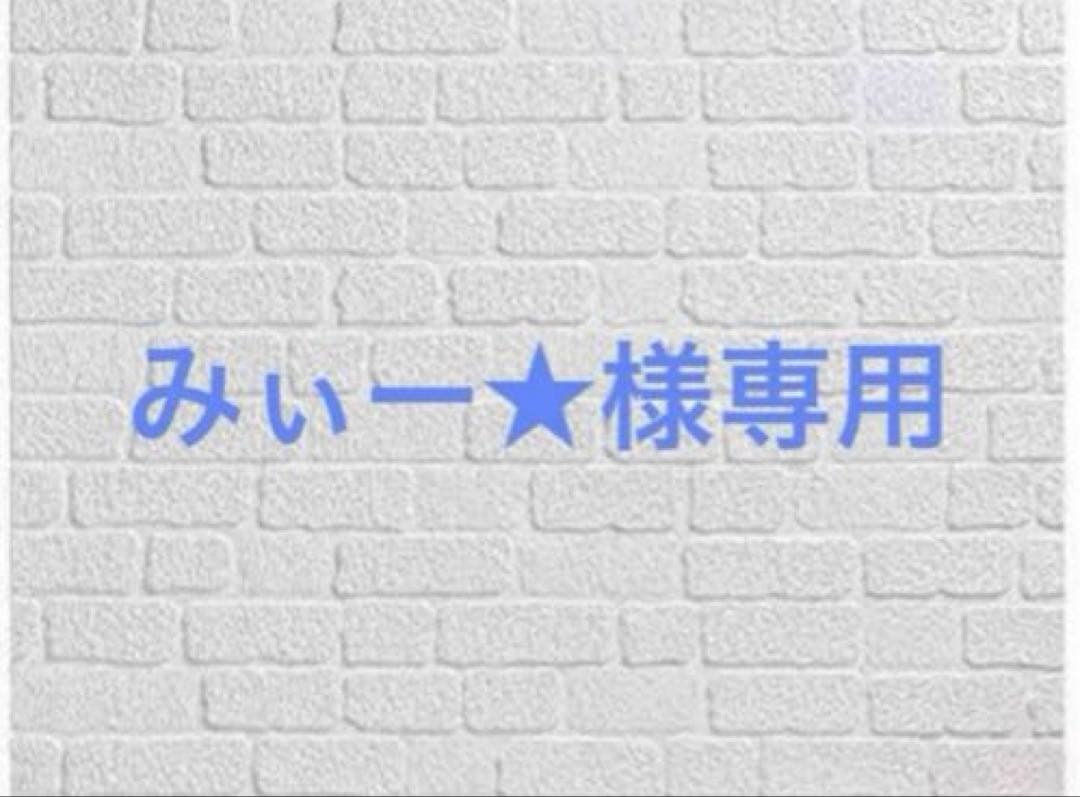 みぃー★様専用 追放された名家の長男 他