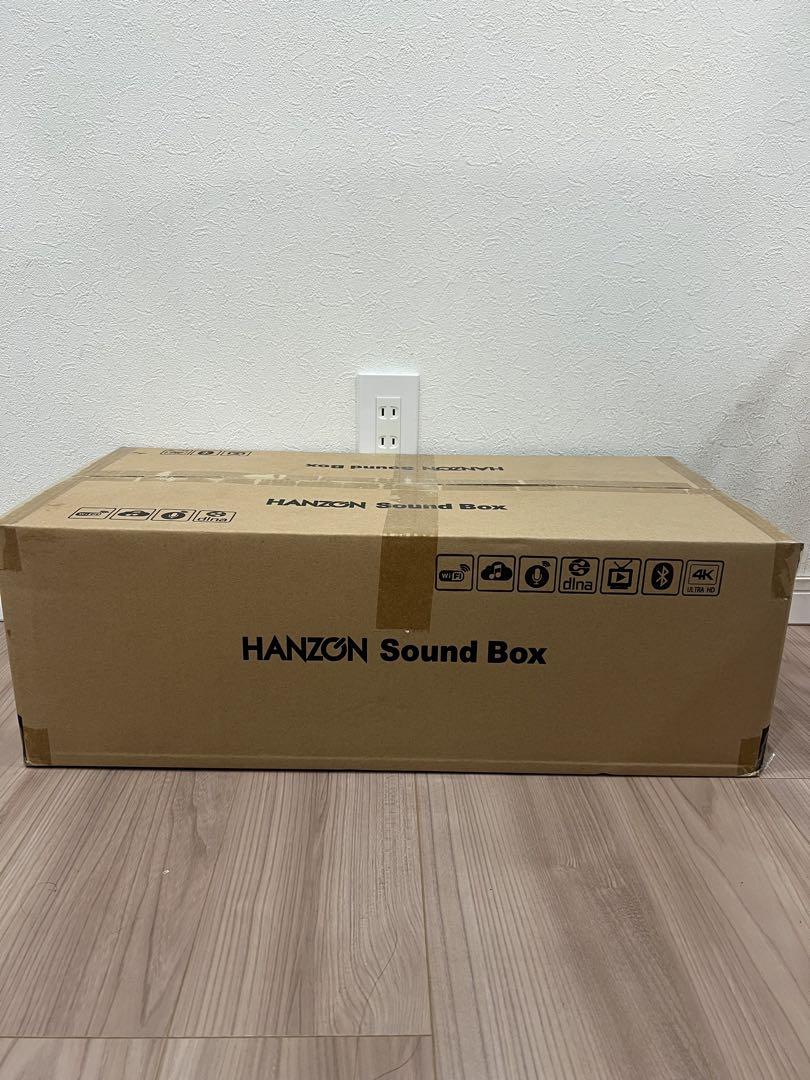 HANZON サウンドボックス 無線マイク2本付き