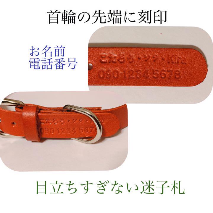 お買い得得価 ruri様 U0Dgn-m29727390043 新品最安値