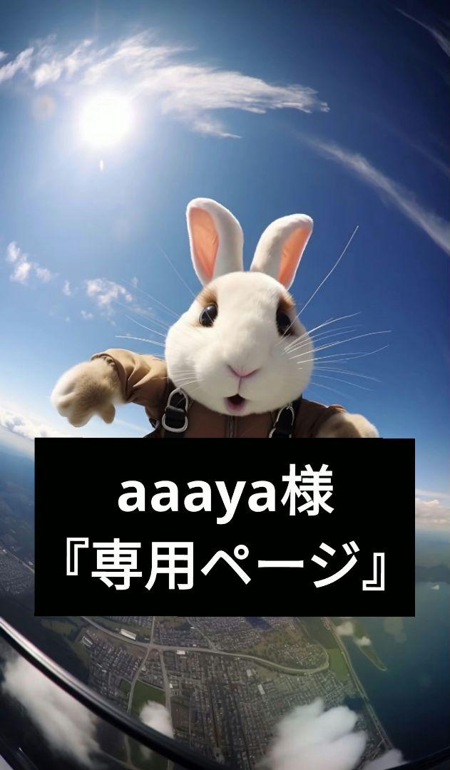 aaaya様『専用ページ』