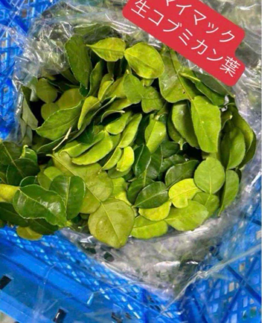 FuKuIお米8kg×3=24kg。国内産＋ハーブオマケ希望(希望コメント必要）