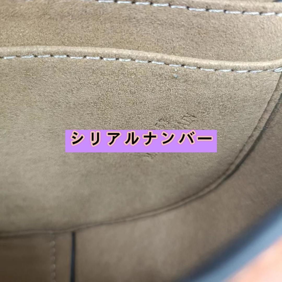 ロエベ LOEWE ショルダーバッグ ゲートデュアルバッグ ミニ タン 画像3