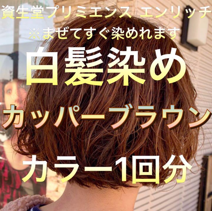 メルカリ 美容室の白髪染め カッパーブラウン 1回分 カラーリング剤 4 000 中古や未使用のフリマ メルカリ 美容室の白髪染め カッパーブラウン 1回分 カラーリング剤 4 000 中古や未使用のフリマ