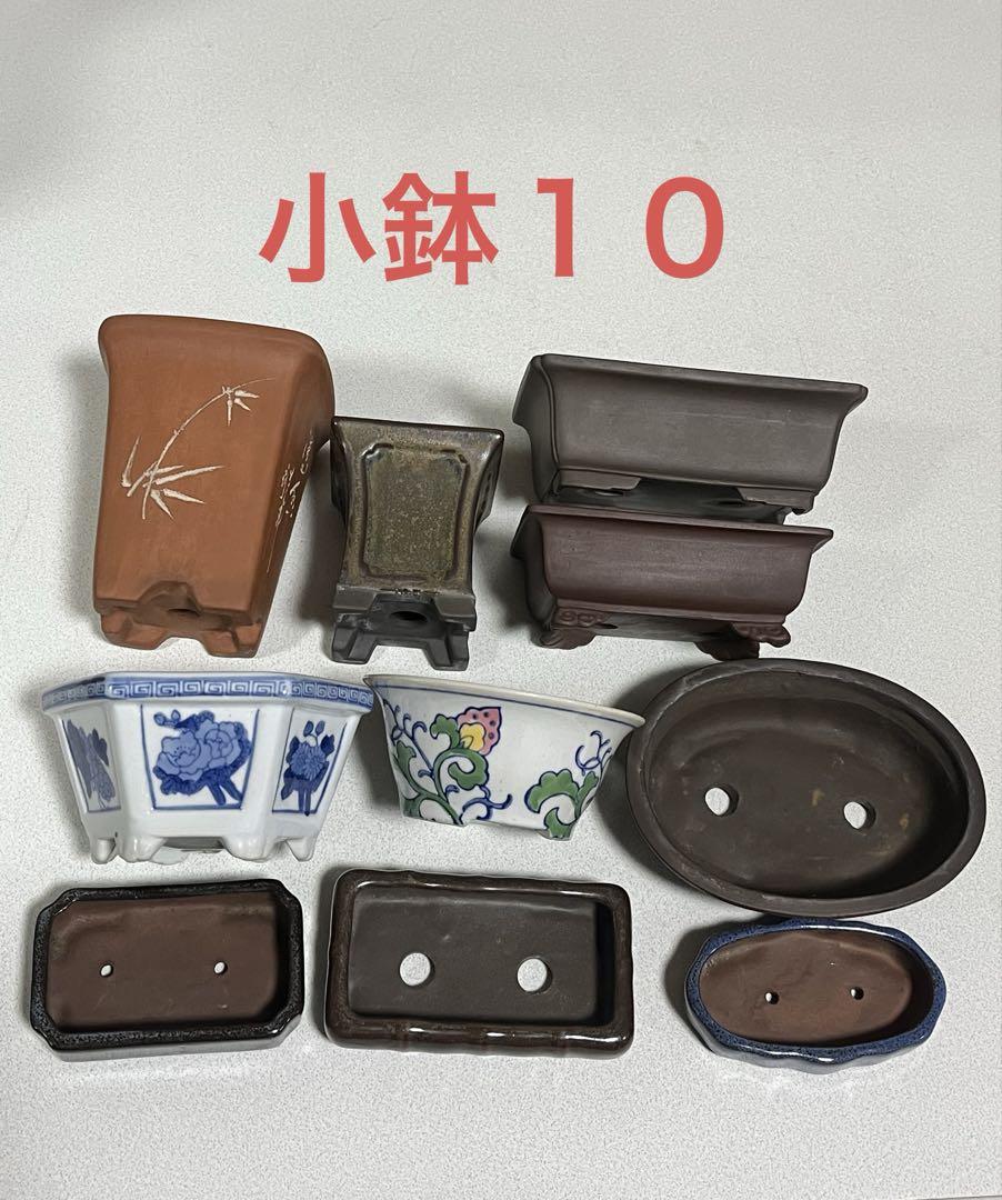 未使用品 正倉院 蔓花尾長鳥 数寄屋袋 茶道
